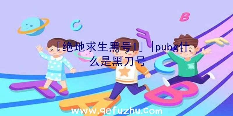 「绝地求生黑号1」|pubg什么是黑刀号